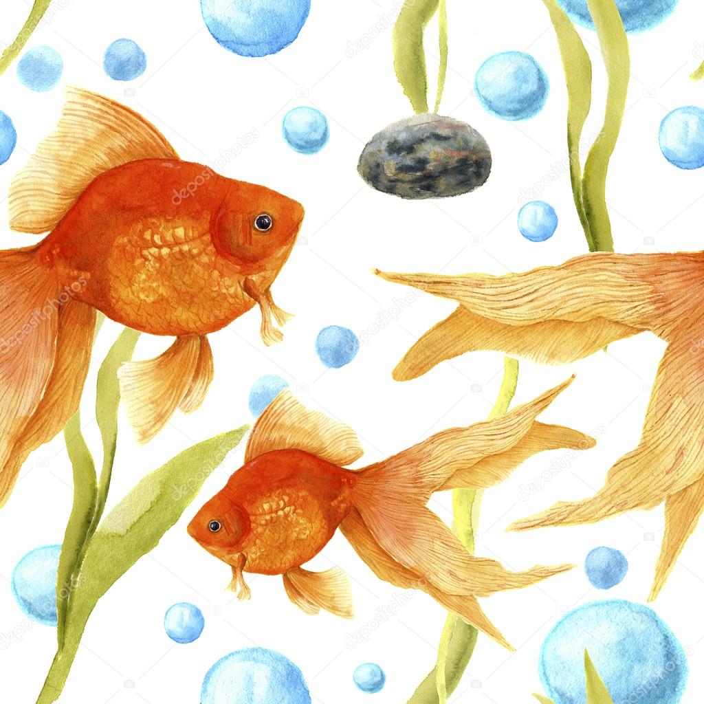610 Aquarium Design For Goldfish HD Terbaru