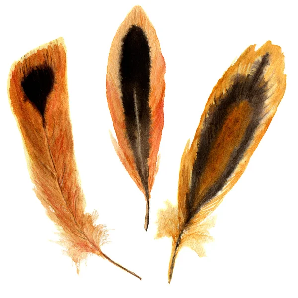 Hand getrokken aquarel levendige Feather set. illustratie veren met strepen en vlekken. geïsoleerd op wit. Vogel Feather Fly ontwerp voor T-shirt, uitnodiging, Wedding Card. Heldere kleur. — Stockfoto