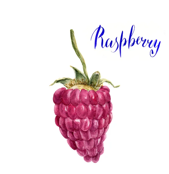 水彩树莓与字母"树莓"。手绘艺术 — 图库照片