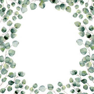 Watercolor green floral frame card with eucalyptus round leaves. Hand painted border with branches and leaves of silver dollar eucalyptus isolated on white background. For design or background clipart
