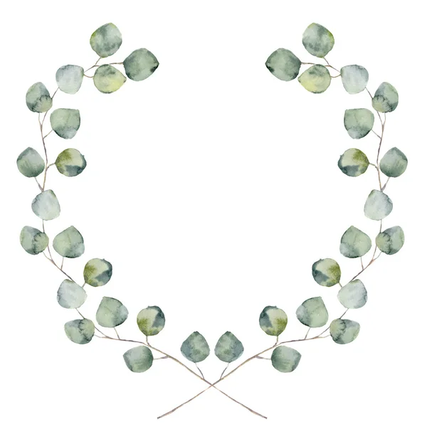 Aquarelle bordure florale avec des feuilles d'eucalyptus bébé et argent dollar. Couronne florale peinte à la main avec branches, feuilles d'eucalyptus isolées sur fond blanc. Pour la conception ou le fond — Photo