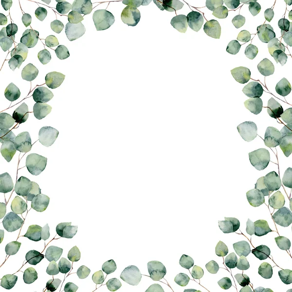 Акварельна зелена квіткова рамка з евкаліптовими круглими листям. Ручна пофарбована рамка з гілками та листям евкаліпта срібла, ізольована на білому тлі. Для дизайну або тла — стокове фото