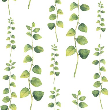 Sulu Boya yeşil çiçek seamless modeli yuvarlak bitkilerle bırakır. El desen şube ve beyaz arka plan üzerinde izole kıvırcık bitkinin yaprakları ile boyalı. Tasarım veya arka plan için