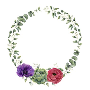 Watercolor floral wreath with eucalyptus, baby eucalyptus leaves, ranunculus, anemone and succulent. Hand painted floral border with branches and flowers isolated on white background.  clipart