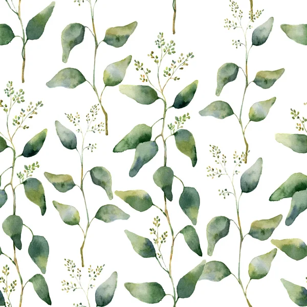 Patrón sin costura floral verde acuarela con eucalipto floreciente. Patrón pintado a mano con ramas y hojas de eucalipto aisladas sobre fondo blanco. Para diseño o fondo — Foto de Stock