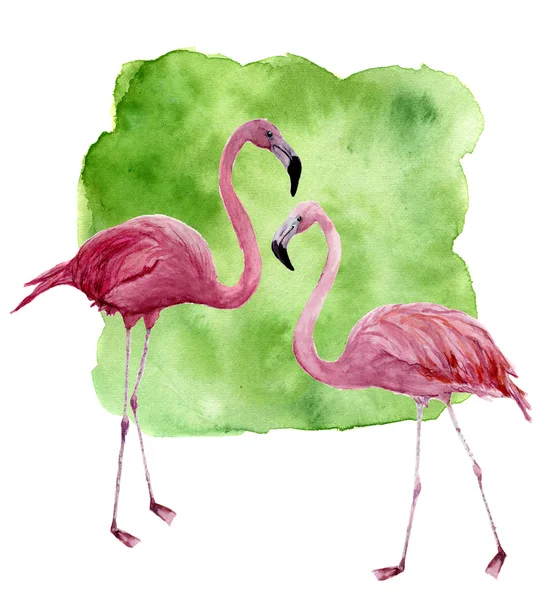 Ακουαρέλα δύο φλαμίνγκο. Χέρι βαμμένο ροζ πουλί εικονογράφηση με πράσινο φόντο που απομονώνονται σε λευκό φόντο. Flamingo εκτύπωσης για το σχεδιασμό — Φωτογραφία Αρχείου