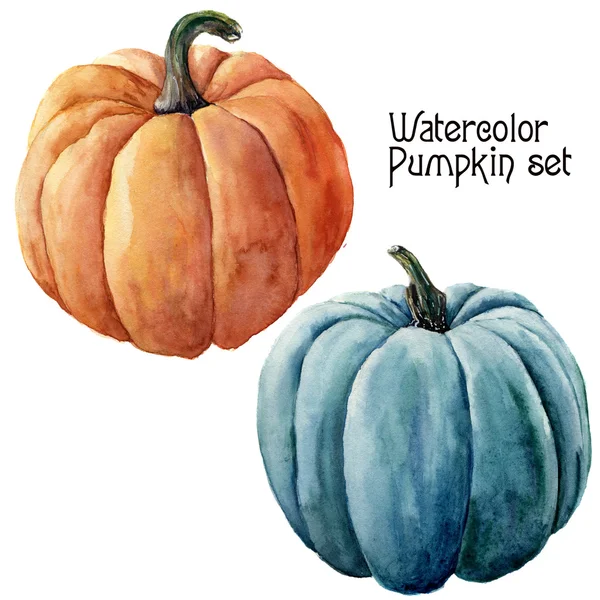 Aquarel pompoen instellen. Handgeschilderde oranje / blauwe groenten geïsoleerd op een witte achtergrond. Herfst pompoen afdrukken voor ontwerp — Stockfoto