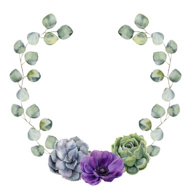 Gümüş dolar okaliptüs yaprakları, sulu sulu boya çiçek kenarlıklı ve anemon çiçeği. El çelenk beyaz arka plan üzerinde izole okaliptüs dalları ile boyalı. Tasarım veya arka plan için