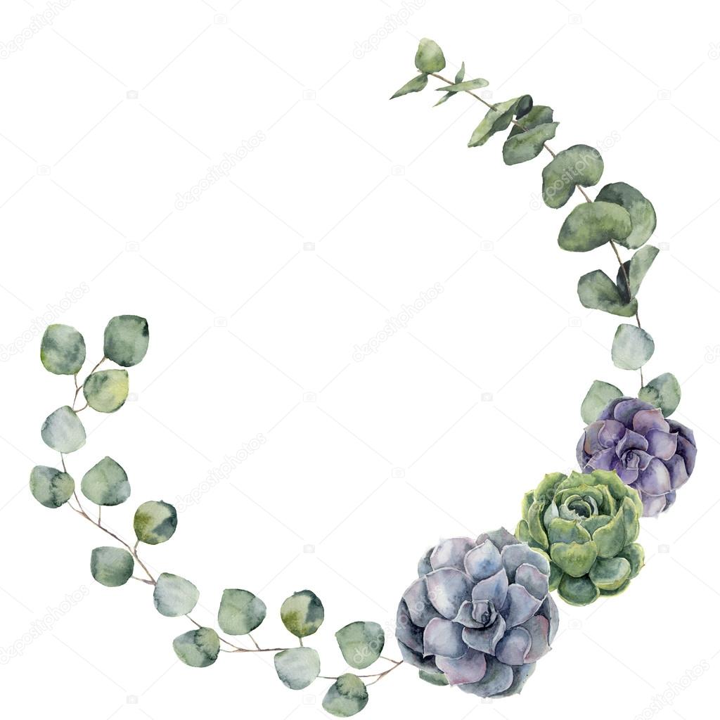 Watercolor floral border with baby, silver dollar eucalyptus leaves and succulent. Hand painted floral wreath with branches, leaves of eucalyptus isolated on white background. For design or background