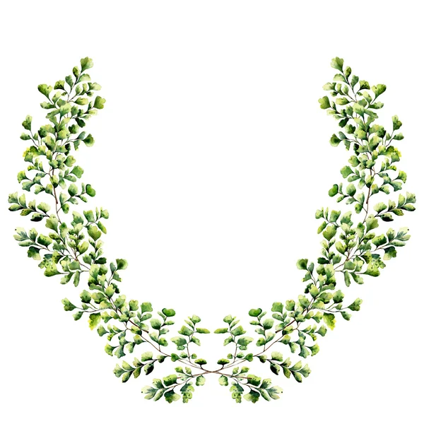 Watercolor floral border with maidenhair fern leaves. Hand painted floral wreath with branches, leaves of fern isolated on white background. For design or background — Stock Photo, Image