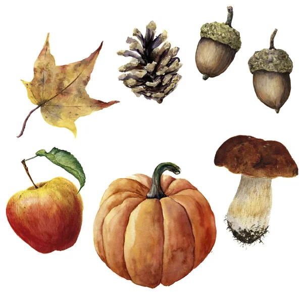 Akvarell höstens skörd set. Handmålade ekollon, äpple, pumpa, kotte, svamp och gula löv som isolerad på vit bakgrund. Botaniska illustration för design — Stockfoto