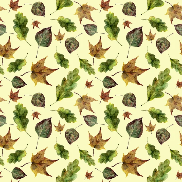 Watercolor autumn leaves seamless pattern. Hand painted oak, maple, aspen fall leaves ornament isolated on yellow background. Botanical illustration for design, print, fabric