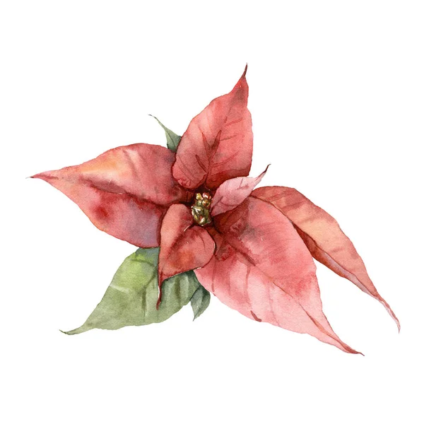 Akvarell jul röd julstjärna och blad. Handmålat semesterkort med blomma isolerad på vit bakgrund. Blommig illustration för design, tryck, tyg eller bakgrund. — Stockfoto