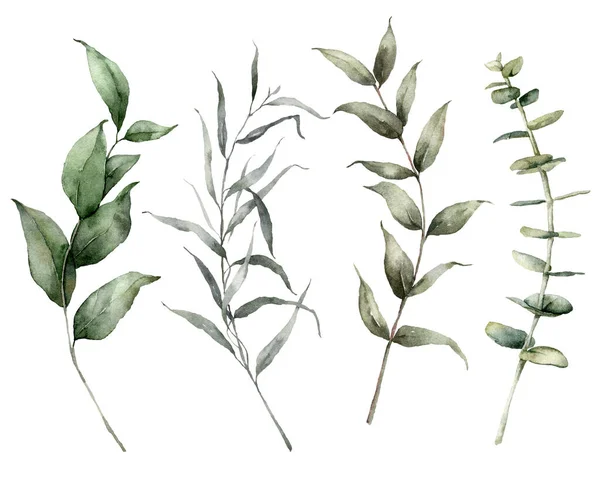 Vesiväri joulu asetettu eri oksat eukalyptuksen. Käsin maalatut trooppiset lehdet eristetty valkoisella pohjalla. Kukka loma kuvitus suunnittelu, tulostaa, kangas tai tausta. — kuvapankkivalokuva