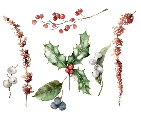 Ensemble de Noël aquarelle avec des baies colorées. Houx peint à la main, mûres et feuilles isolées sur fond blanc. Illustration florale de vacances pour le design, l'impression, le tissu ou le fond. — Photo