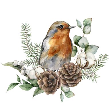 Kırmızı göğüslü suluboya Noel buketi, pamuk ve köknar dalları. Beyaz arka planda çiçekli ve yapraklı el yapımı tatil kartı. Tasarım, baskı, arkaplan.