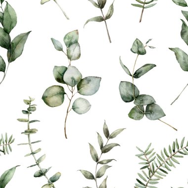 Gümüş dolar ve bebek mavisi okaliptüslü suluboya Noel deseni. Beyaz arka planda el boyaması dallar. Tasarım, baskı, kumaş veya arkaplan için çiçek çizimi.