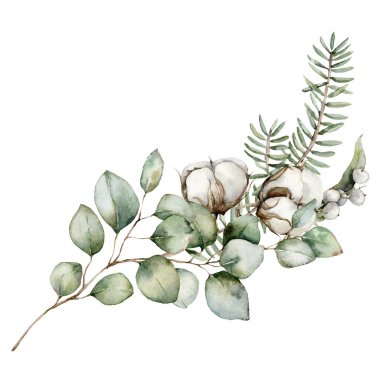 Okaliptüs dalları, pamuk çiçekleri ve böğürtlenli suluboya Noel buketi. Beyaz arka planda elle boyanmış tatil kartı. Tasarım, baskı, kumaş veya arkaplan çizimi.