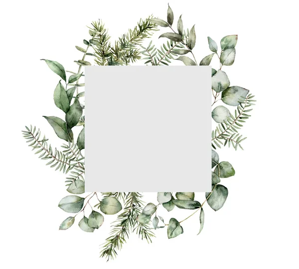 モミやユーカリの枝と水彩クリスマスフレーム。白い背景に隔離された手描きの休日の植物。デザイン、プリント、ファブリックまたは背景のための花のイラスト. — ストック写真