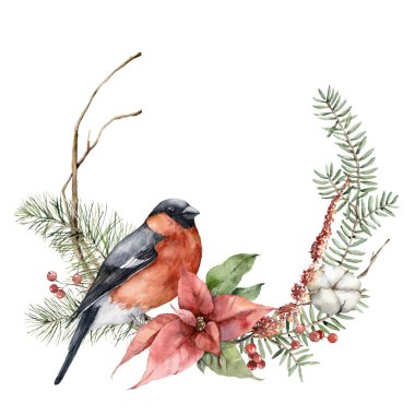 Ispinoz kuşlu suluboya Noel çelengi, poinsettia ve köknar dalları. Beyaz arka planda izole edilmiş çiçekli el boyalı tatil kartı. Tasarım, baskı, kumaş veya arkaplan çizimi.