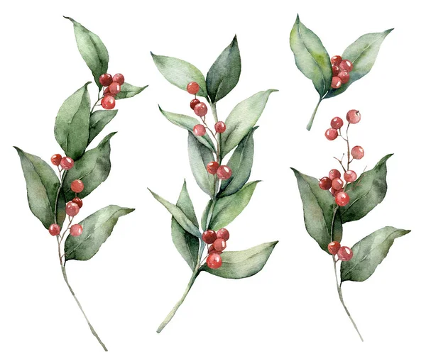 Aquarell-Weihnachtsset mit Zweigen und roten Beeren. Handgemaltes Urlaubsgrün isoliert auf weißem Hintergrund. Florale Illustration für Design, Druck, Stoff oder Hintergrund. — Stockfoto