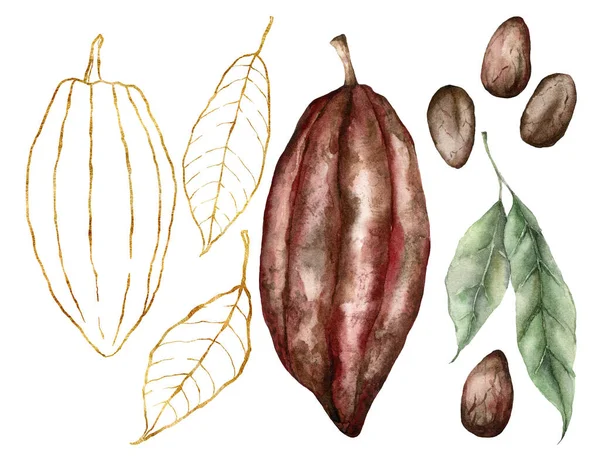 Aquarell-Kakao mit Blättern. Handbemalte goldene lineare Früchte isoliert auf weißem Hintergrund. Herbsterntefest. Botanische Illustration für Design, Druck oder Hintergrund. — Stockfoto