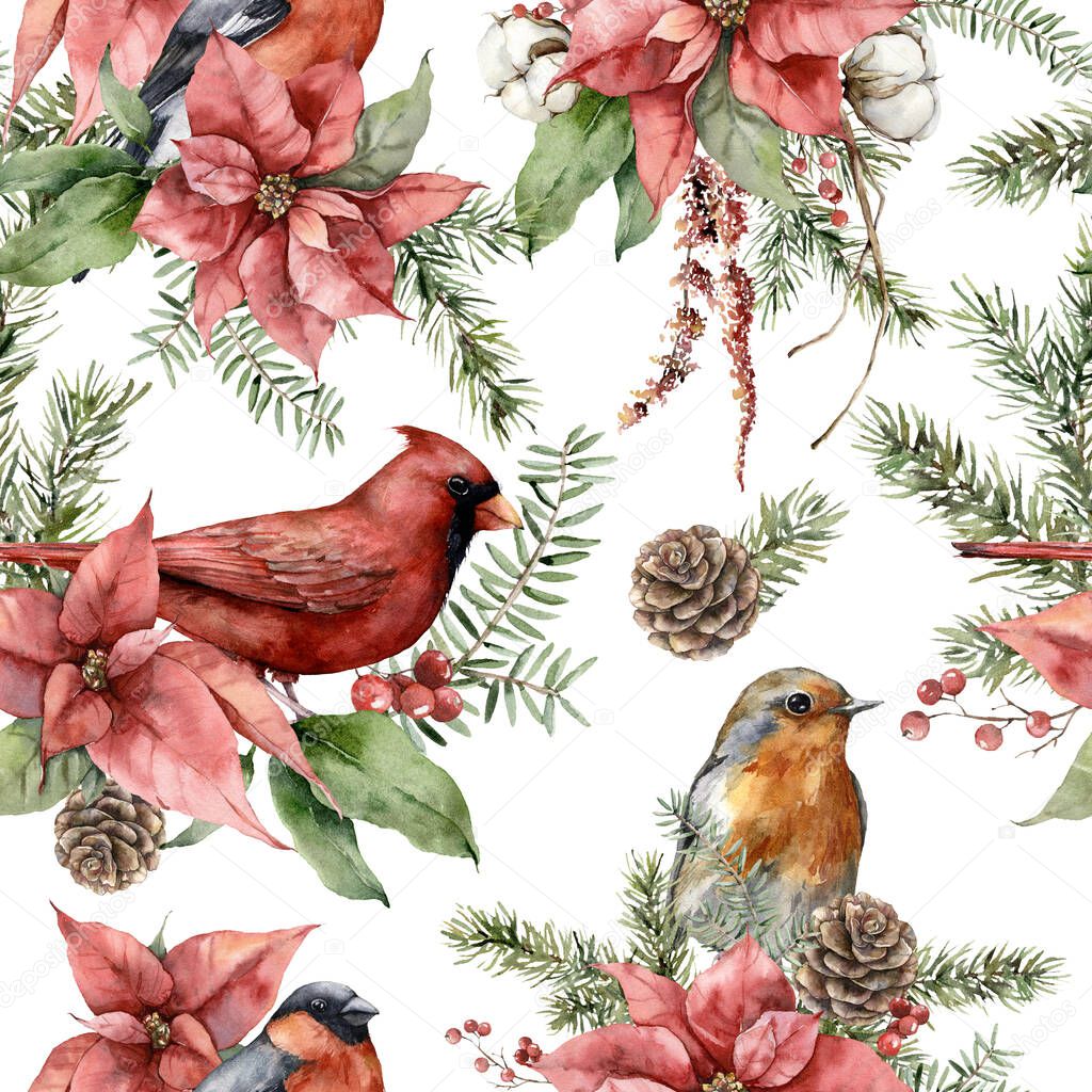 Watercolor Christmas seamless pattern of birds and flowers. Hand painted poinsettia, pine cone and fir branch isolated on white background. Holiday illustration for design, print, fabric, background.