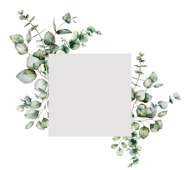 Watercolor greenery frame with eucalyptus branches. Hand painted holiday plants isolated on white background. Plants illustration for design, print, fabric or background. Christmas card. —  Fotos de Stock