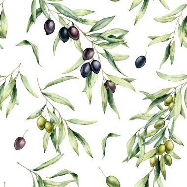 Suluboya mutfak, dikişsiz yeşil ve siyah zeytin deseni. Beyaz arka planda izole edilmiş zeytin dalları ve yapraklarla elle boyanmış illüstrasyon. Tasarım, baskı ve kumaş için.