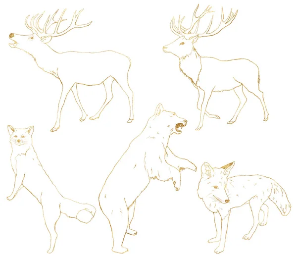 Aquarel set van gouden dieren. Met de hand geschilderde lineaire beer, hert, vos en wolf geïsoleerd op witte achtergrond. Wildlife illustratie voor ontwerp, print, stof of achtergrond. — Stockfoto