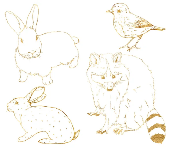 금빛 숲의 황금 동물들 입니다. 손은 흰 바탕에 선형 토끼, 토끼, 새, 너구리를 그렸다. 설계, 인쇄, 직물, 배경을 보여 주는 야생 동물 삽화. — 스톡 사진