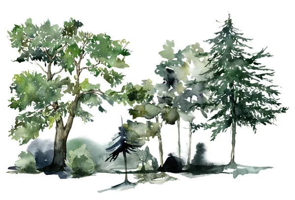 Carte nature aquarelle d'arbres et buissons abstraits. Illustration de verdure peinte à la main isolée sur fond blanc. Pour la conception, l'impression, le tissu ou le fond. — Photo