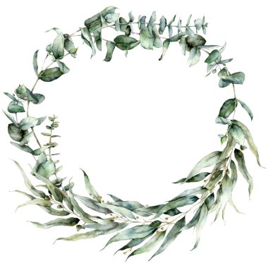 Okaliptüs tohumları, yapraklar ve dallardan oluşan suluboya bir çelenk. Beyaz arka planda el yapımı gümüş renkli okaliptüs. Tasarım, baskı, kumaş veya arkaplan için çiçek çizimi.