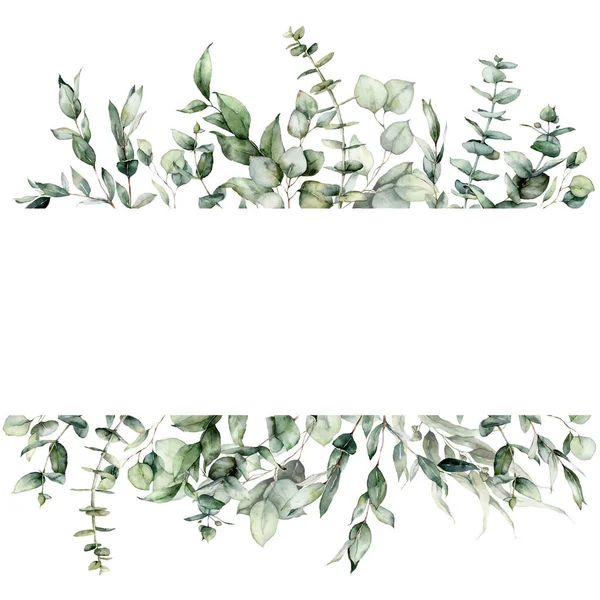 Akvarell blommig bård av eukalyptus grenar, frön och blad. Handmålade ram av silver dollar växter isolerad på vit bakgrund. Illustration för design, tryck, tyg eller bakgrund. — Stockfoto