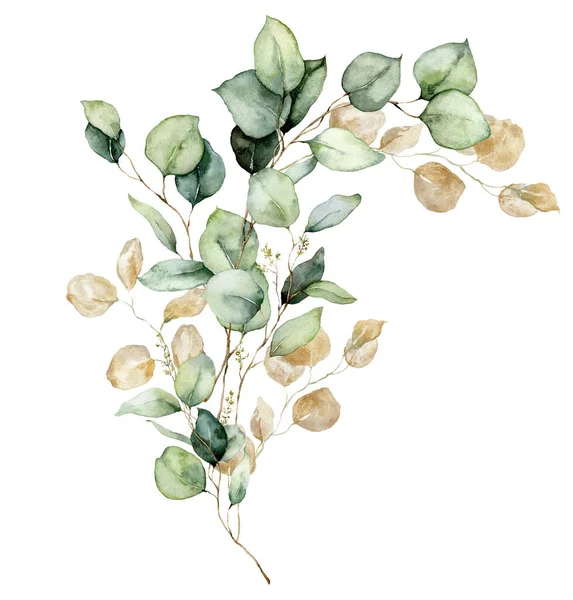 Υδατογραφία floral κάρτα από χρυσούς σπόρους ευκαλύπτου, φύλλα και κλαδιά. Χέρι βαμμένο ασημένιο δολάριο ευκάλυπτος μπουκέτο απομονώνονται σε λευκό φόντο. Εικονογράφηση για σχεδιασμό, εκτύπωση, ύφασμα ή φόντο. — Φωτογραφία Αρχείου