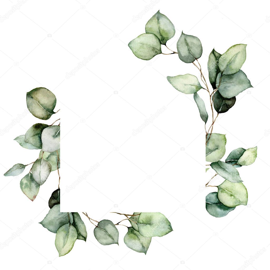Watercolor floral frame of eucalyptus branches, seeds and leaves. Hand painted card of silver dollar plants isolated on white background. Illustration for design, print, fabric or background.