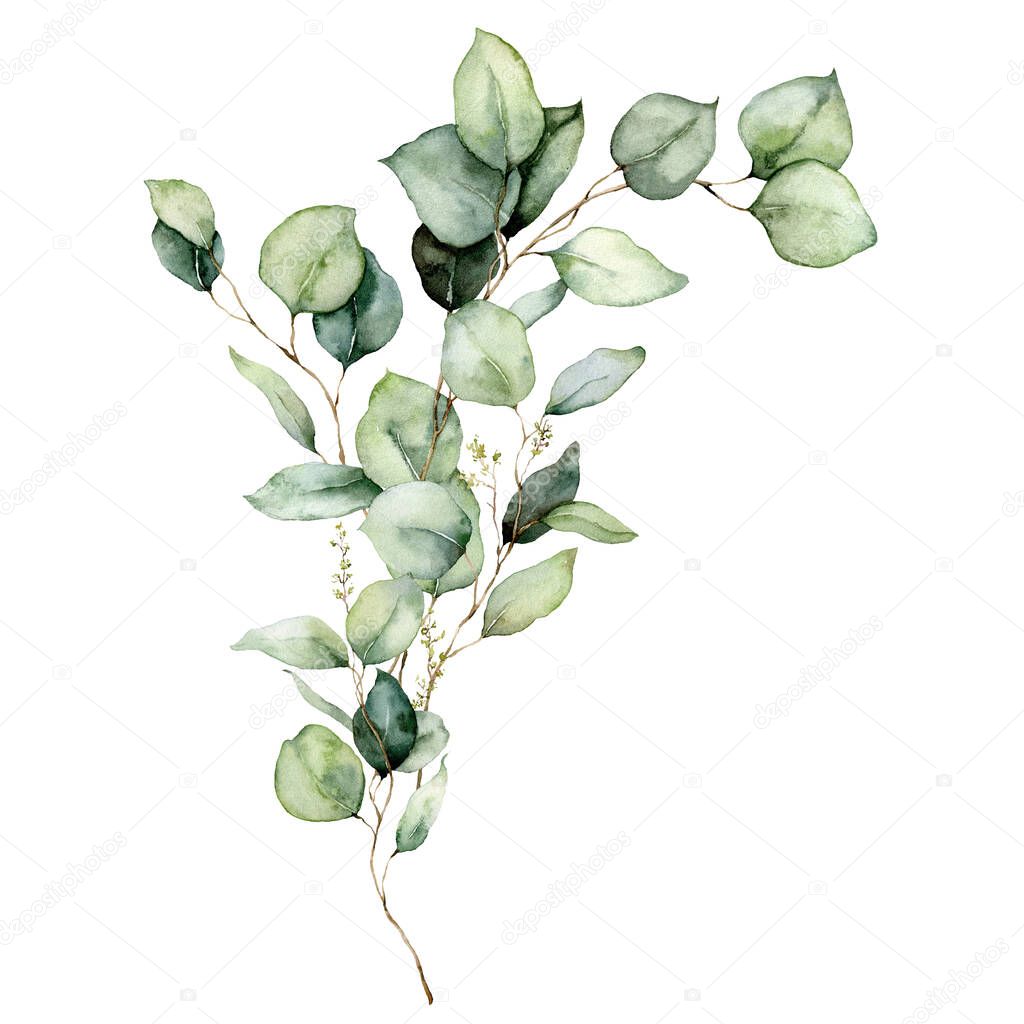 Watercolor floral card of eucalyptus leaves, seeds and branches. Hand painted silver dollar eucalyptus bouquet isolated on white background. Illustration for design, print, fabric or background.