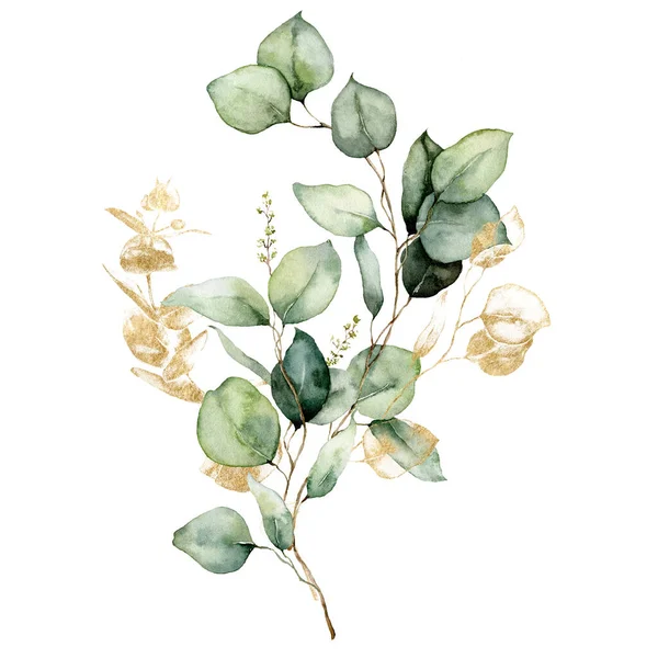 Tarjeta floral acuarela de ramas de eucalipto dorado, semillas y hojas. Pintado a mano ramo de eucalipto dólar de plata aislado sobre fondo blanco. Ilustración para diseño, impresión, tela o fondo. — Foto de Stock