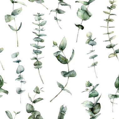 Okaliptüs dalları, yaprakları ve tohumların dikişsiz suluboya deseni. Beyaz arka planda izole edilmiş el boyalı tropik bitkiler. Tasarım, baskı, kumaş veya arkaplan için çiçek çizimi.