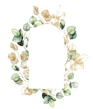 Okaliptüs dallarından, yapraklardan ve tohumlardan oluşan suluboya altın oval çerçeve. Beyaz arka planda izole edilmiş elle boyanmış bitkilerin kartı. Tasarım, baskı, kumaş veya arkaplan için çiçek çizimi.