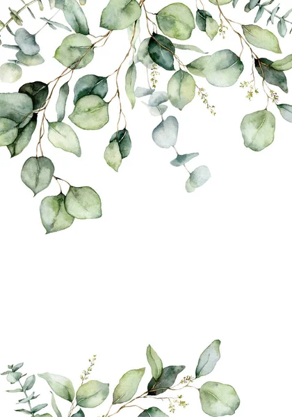 Aquarell vertikale Borte aus Eukalyptuszweigen, Samen und Blättern. Handgemalte Karte von Pflanzen isoliert auf weißem Hintergrund. Florale Illustration für Design, Druck, Stoff oder Hintergrund. — Stockfoto
