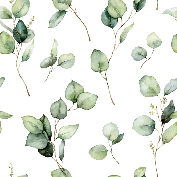Patrón sin costura de acuarela de ramas de eucalipto, semillas y hojas. Plantas tropicales pintadas a mano aisladas sobre fondo blanco. Ilustración floral para diseño, impresión, tela o fondo. — Foto de Stock
