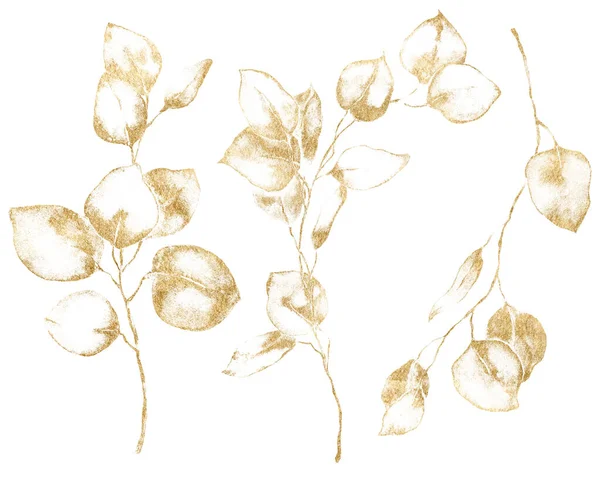 Altın okaliptüs yaprakları, tohumlar ve dallardan oluşan suluboya bir çiçek seti. Beyaz arka planda el yapımı gümüş renkli okaliptüs. Tasarım, baskı, kumaş veya arkaplan çizimi. — Stok fotoğraf