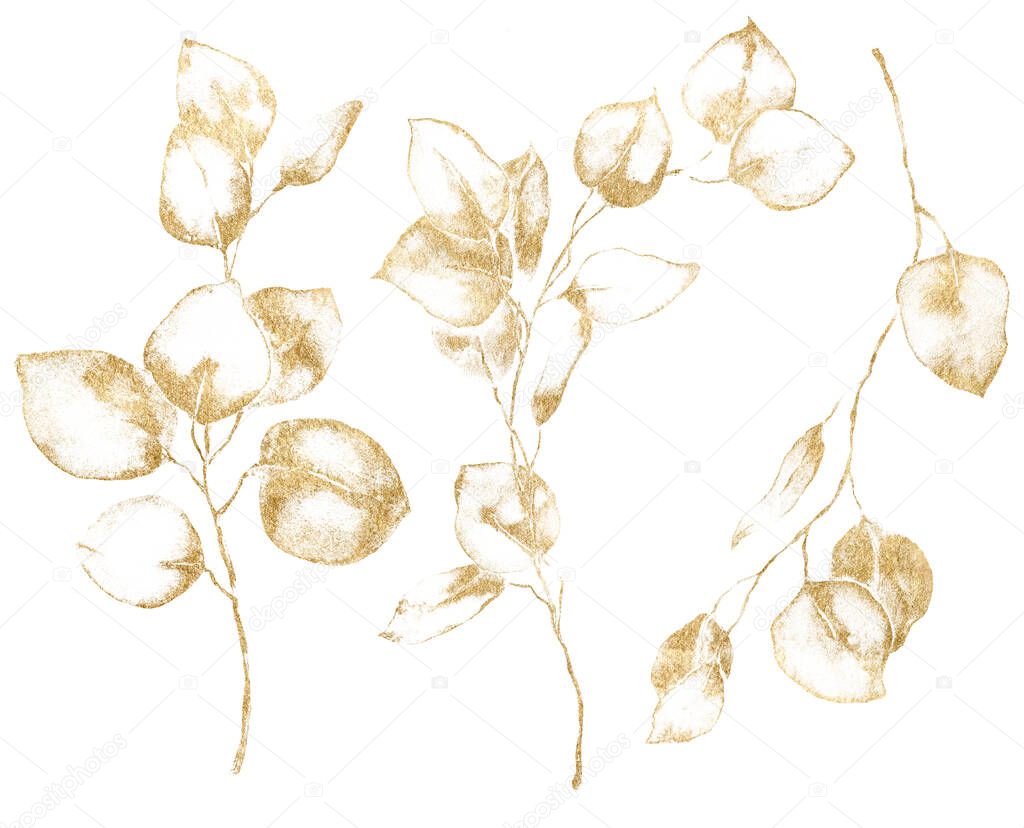 Watercolor floral set of gold eucalyptus leaves, seeds and branches. Hand painted silver dollar eucalyptus isolated on white background. Illustration for design, print, fabric or background.