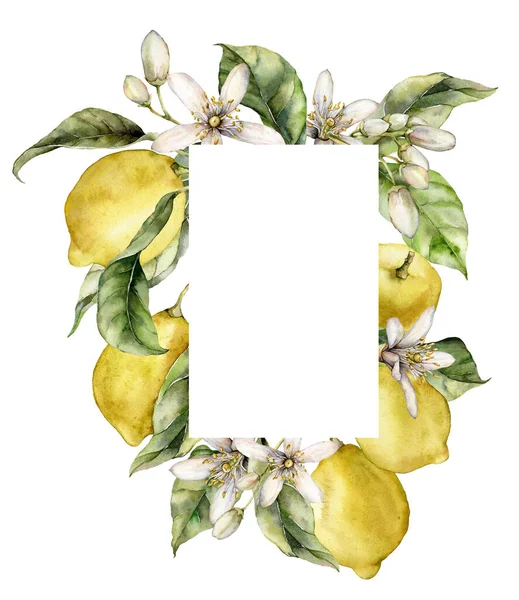 Aquarell tropischer Rahmen aus reifen Zitronen, Blüten und Blättern. Handbemalter Rand aus frischen Früchten isoliert auf weißem Hintergrund. Leckere Lebensmittel-Illustration für Design, Druck, Stoff oder Hintergrund. — Stockfoto