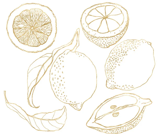 Akvarel sada line art citróny a zlaté listy. Ručně malované čerstvé ovoce izolované na bílém pozadí. Chutné jídlo ilustrace pro design, tisk, tkaniny nebo pozadí. — Stock fotografie