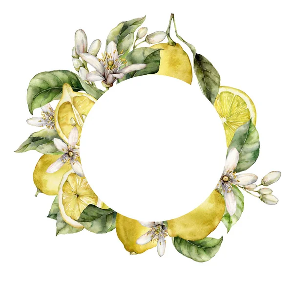 Akvarell kerek keret érett citrom, virágok és levelek. Fehér alapon izolált friss gyümölcsök kézzel festett trópusi határa. Ízletes élelmiszer illusztráció tervezés, nyomtatás, szövet vagy háttér. — Stock Fotó