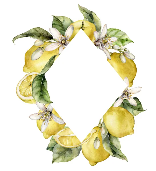 Akvarell rombusz keret érett citrom, levelek és virágok. Fehér alapon izolált friss gyümölcsök kézzel festett trópusi határa. Ízletes élelmiszer illusztráció tervezés, nyomtatás, szövet vagy háttér. — Stock Fotó