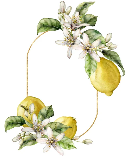 Watercolor oval frame of ripe lemons, leaves and flowers. Hand painted tropical border of fruits isolated on white background. Tasty food illustration for design, print, fabric or background. — Stock Photo, Image