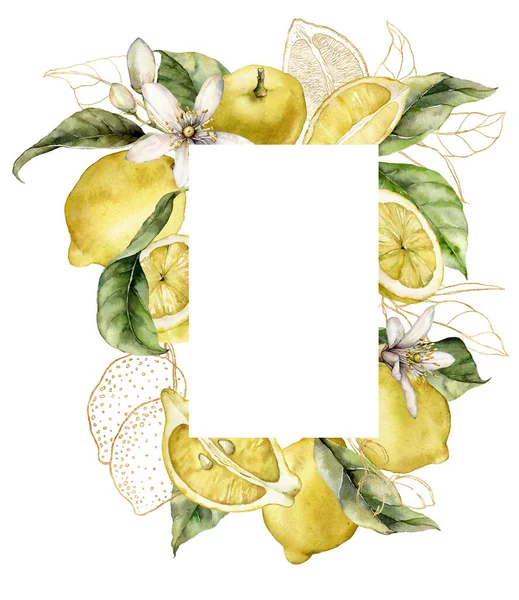 Watercolor frame of ripe lemons, gold leaves and linear flowers. Hand painted tropical border of fruits isolated on white background. Tasty food illustration for design, print, fabric or background.